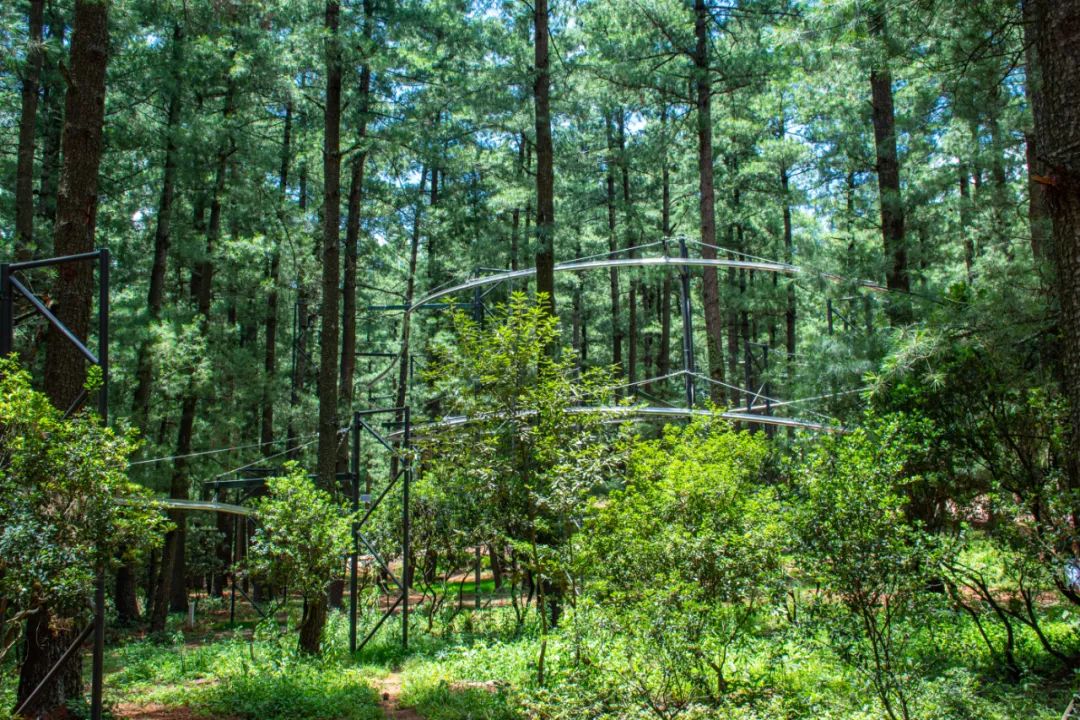 昆明周边周末游玩的地方推荐,昆明周边游玩的好地方推荐