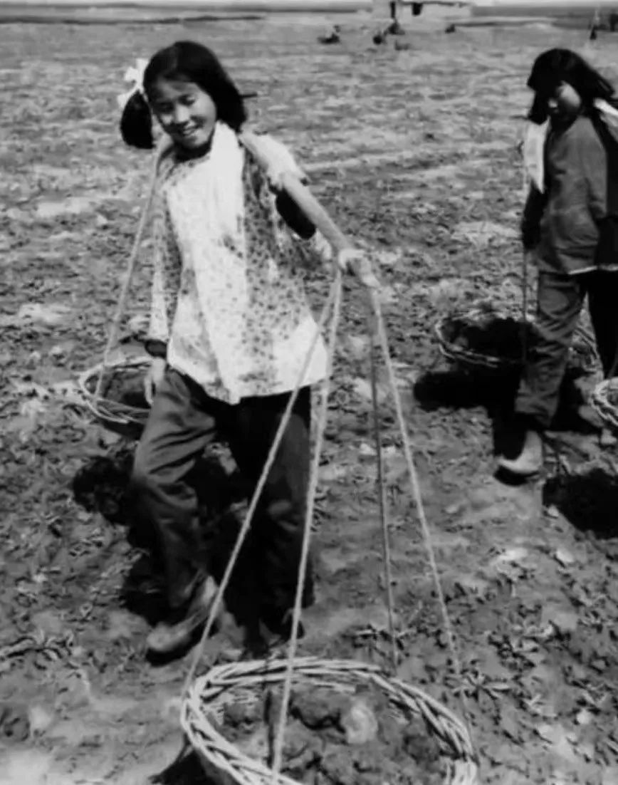 马岗家具,马岗室内装修厂家