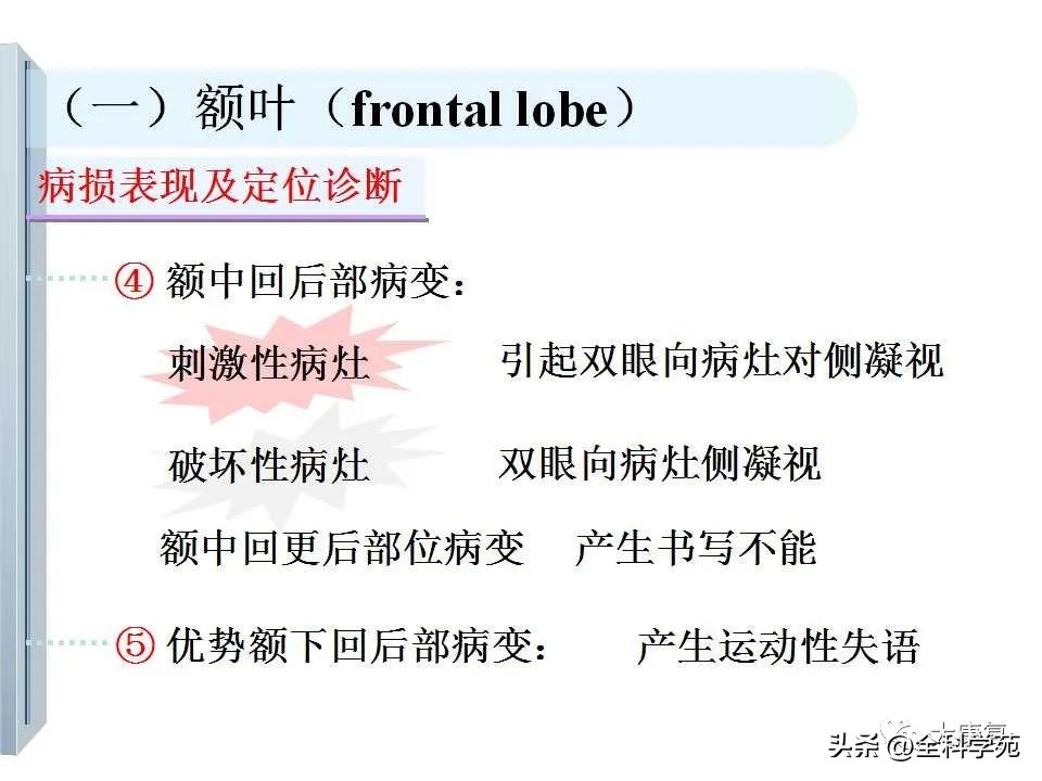神经系统的影像与解剖定位,最全神经解剖图