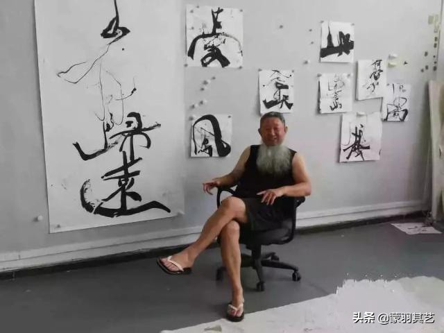 射墨大师邵岩射墨视频,射墨大师邵岩原版