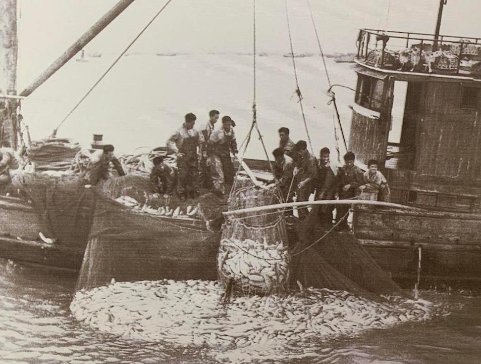 福建籍女子在美国遇害,福建一女子被杀案