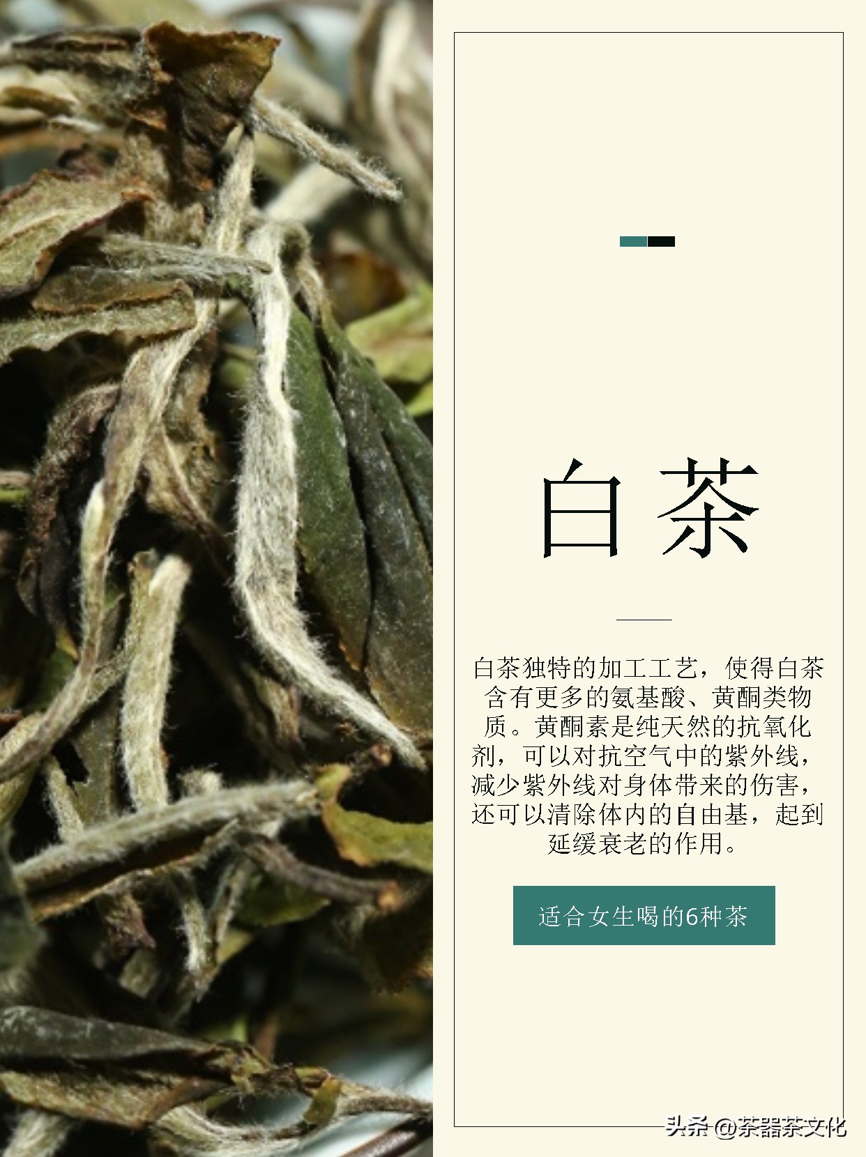 适合女生长期喝的四种茶,适合女生一年四季喝的茶