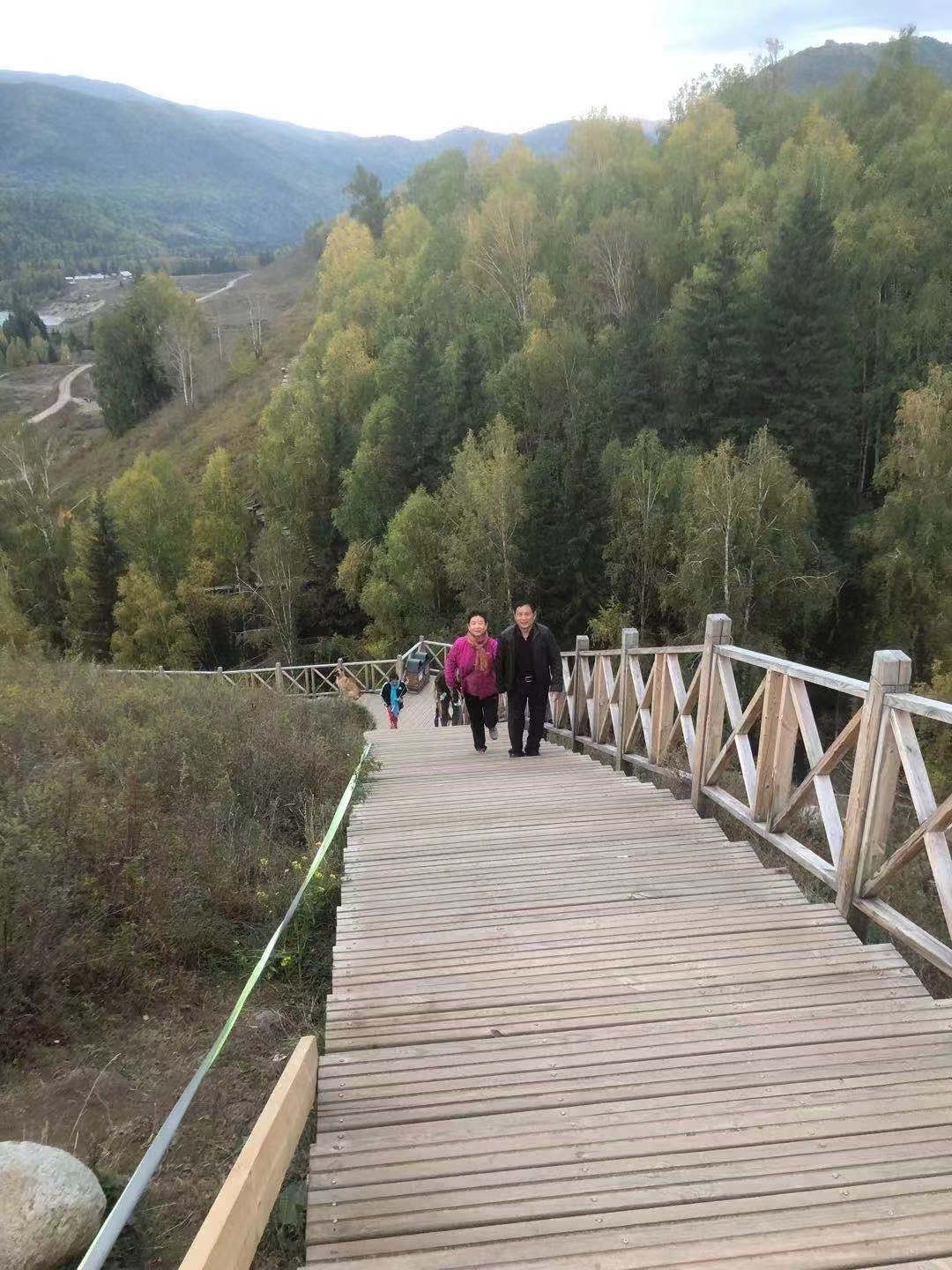 人生的落叶,人生落叶感悟的句子