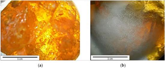 银离子浸渍海藻酸盐及其抗菌性能