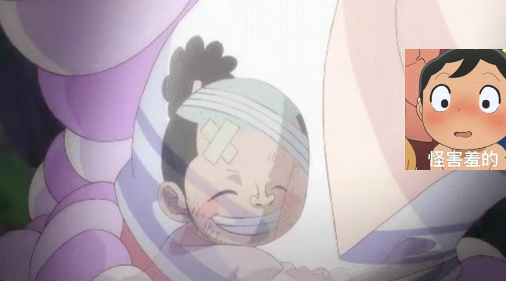 海贼王1021-1071全免看,海贼王1021集解说