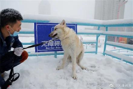 60s视频、88张图、3600字！我们为天津做了份2021年终总结