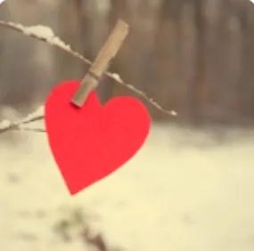 半个鸡蛋壳看图写话,半个鸡蛋半个肉丸