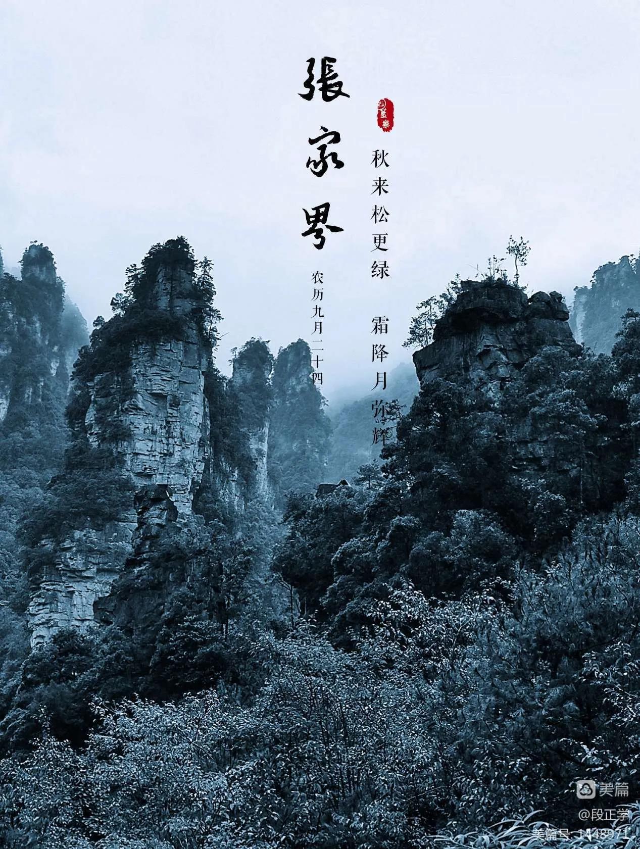 仙境张家界惊艳全世界,张家界的峰林峡谷仙境