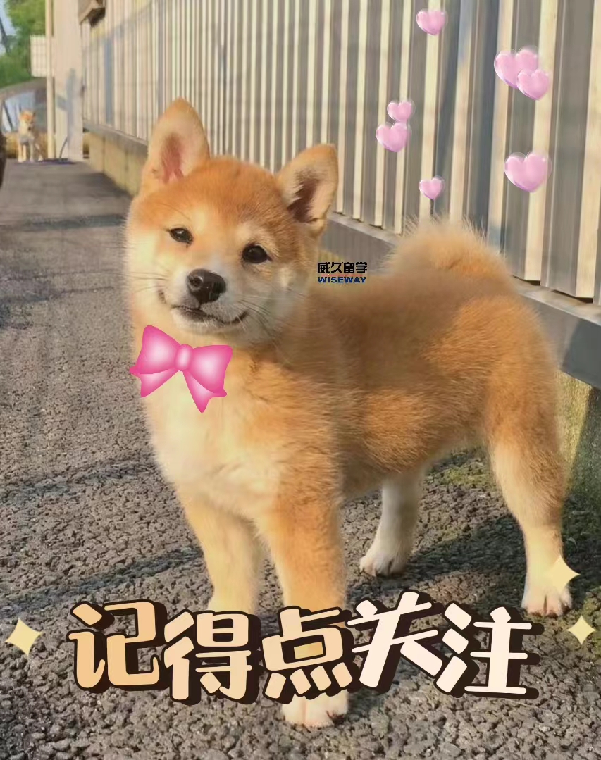 安全且性价比最高的留学目的地,性价比最高的留学地