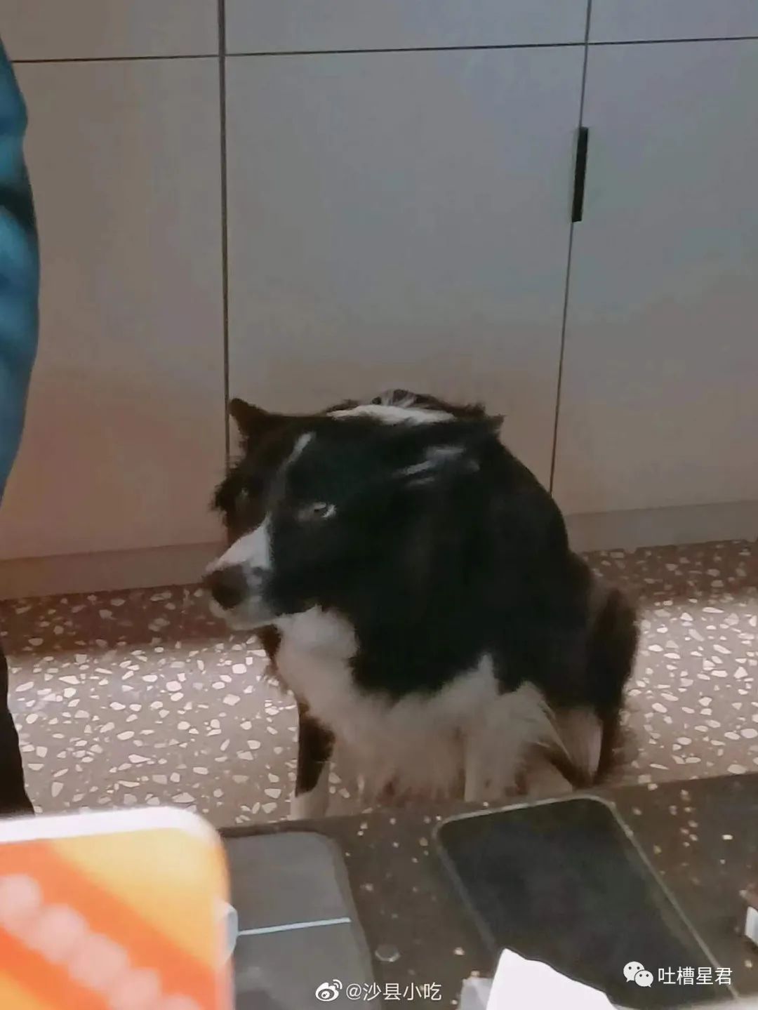 “男友花8150买包包，拆开后...”奢侈品不骗穷人！