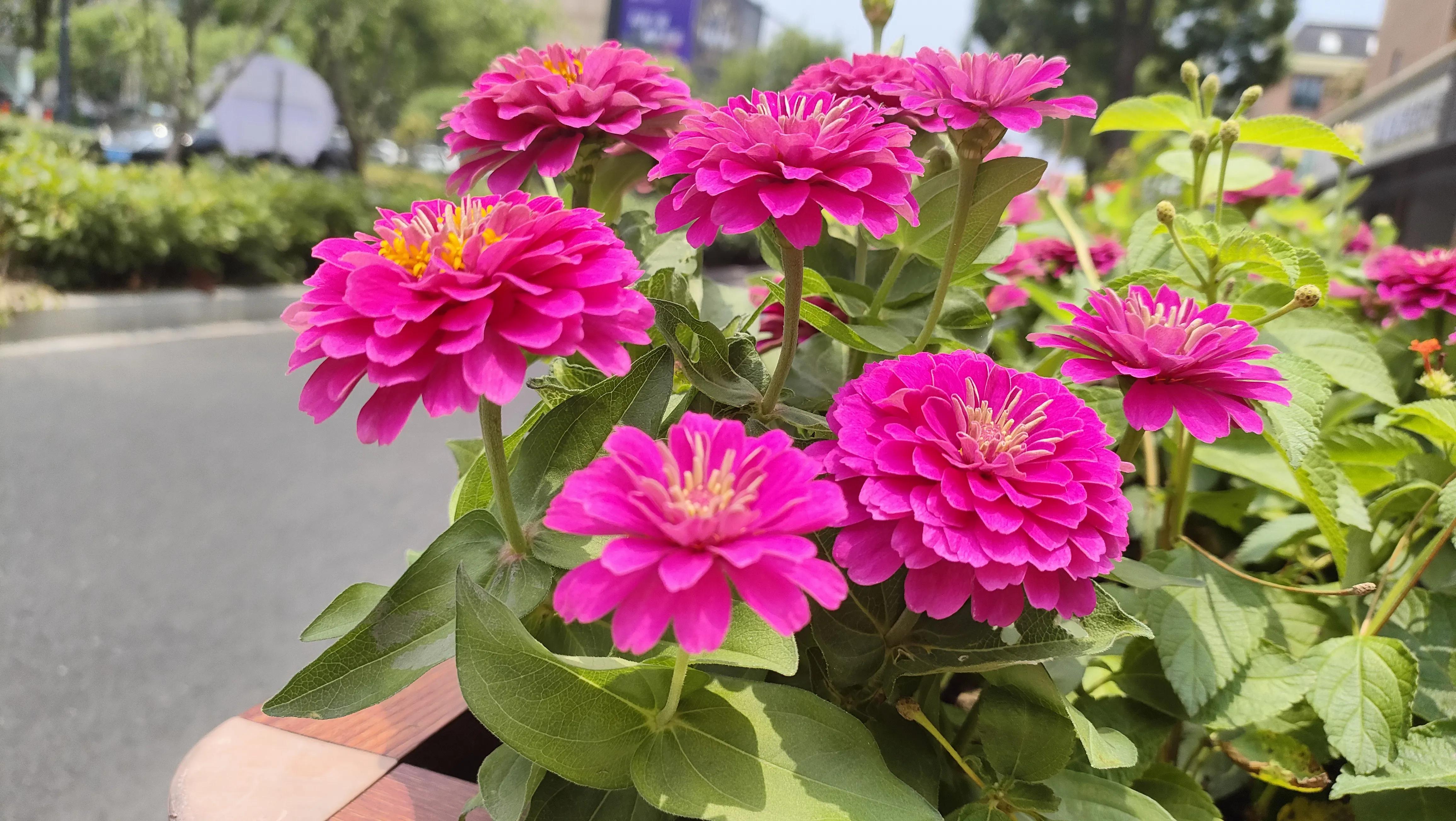 东莞到杭州自由行路线,从广州到杭州沿途风景