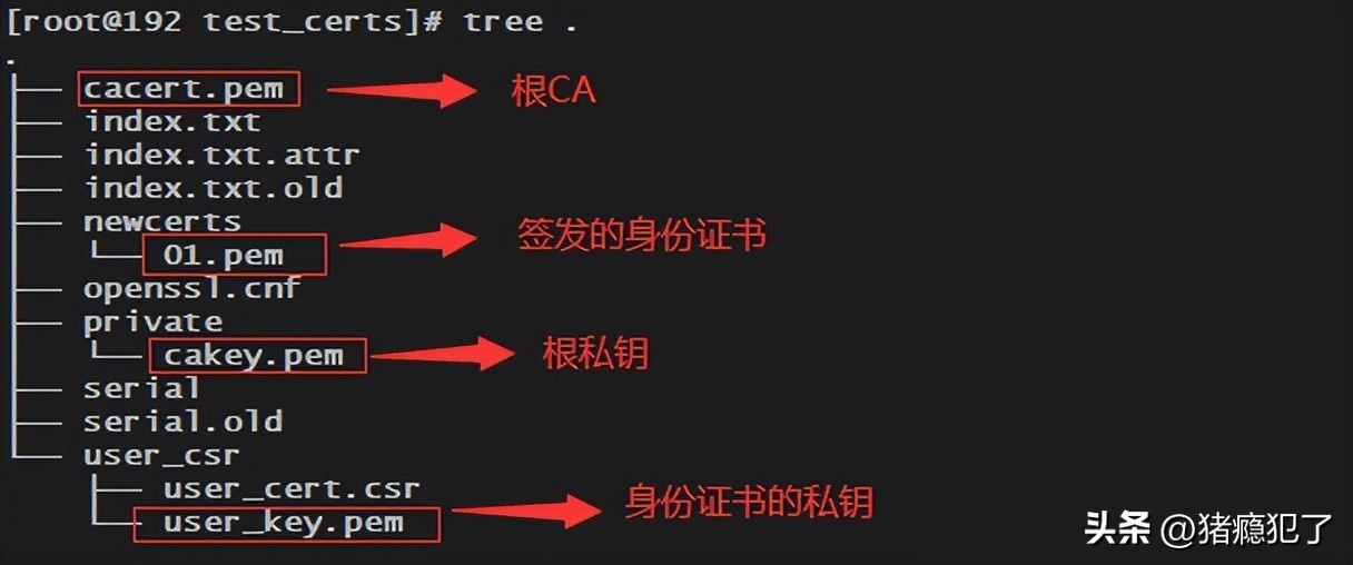 如何使用ca证书实现电子签名,自签名https证书