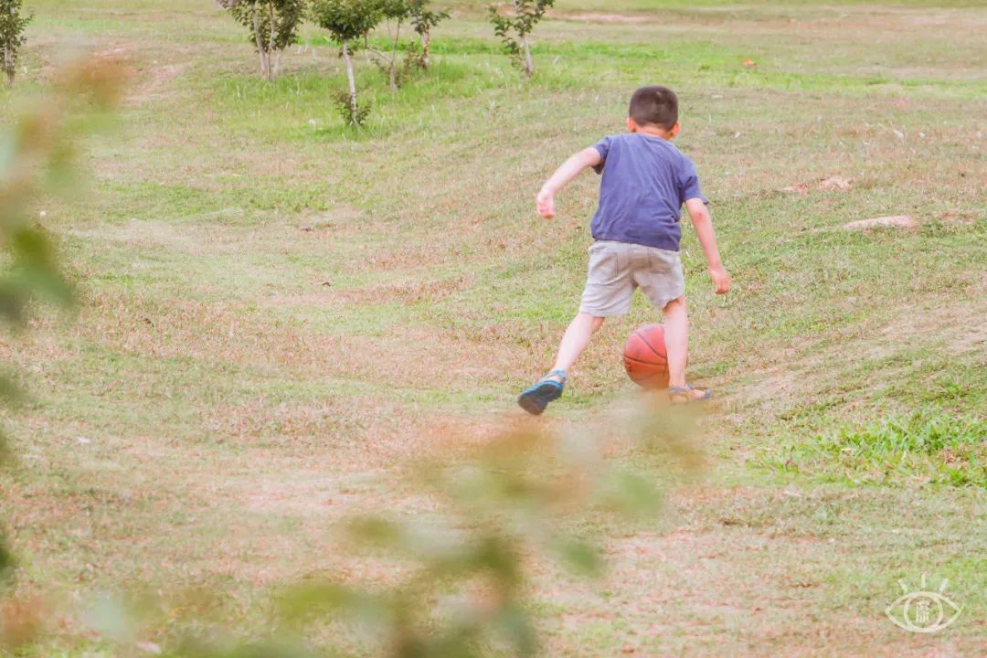 深圳免费露营的公园推荐,深圳22个露营公园