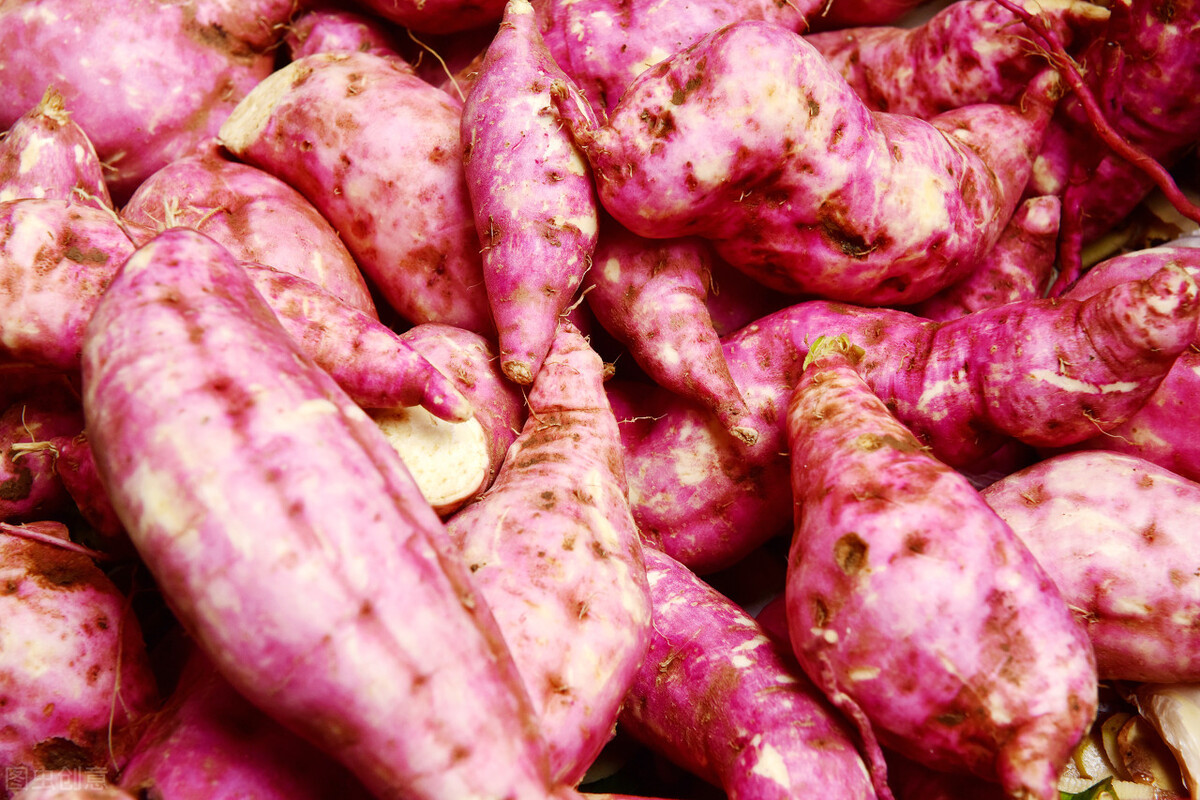 怎样保存红薯才能保存时间更长,保存红薯最正确的方法