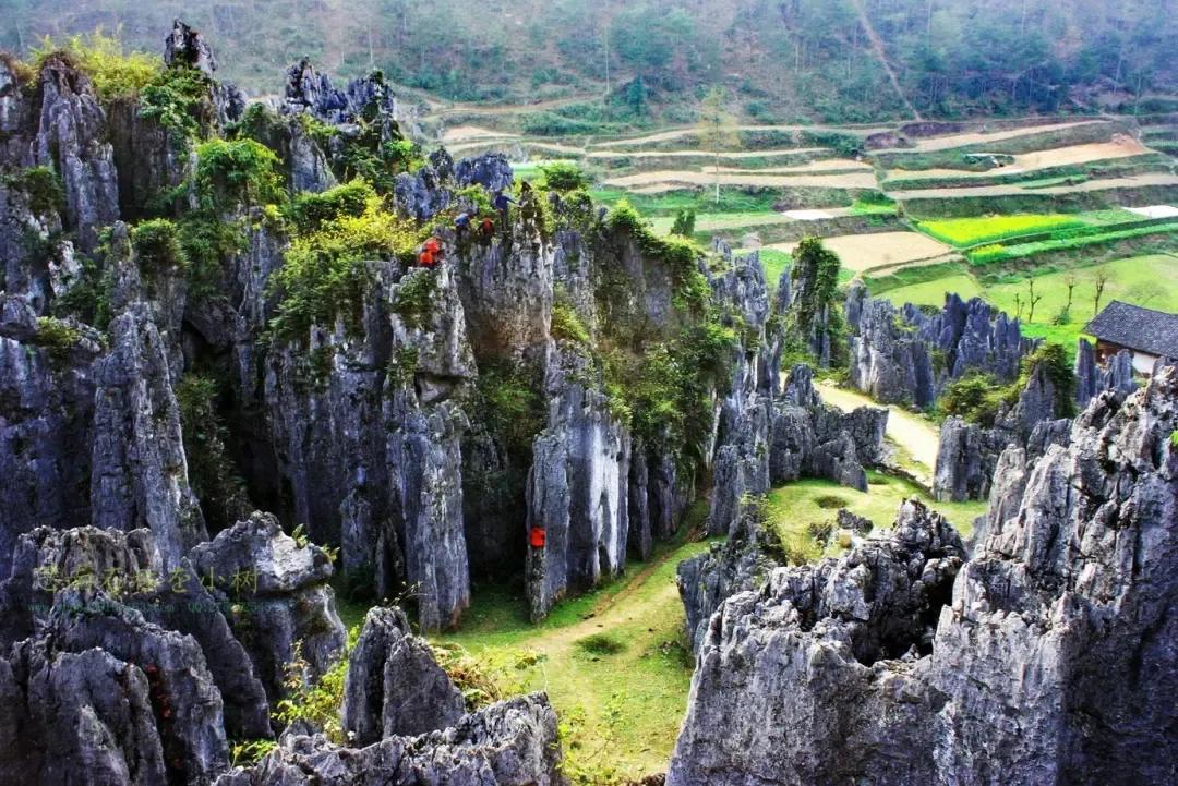 最美思南石林,思南石林风景区全景