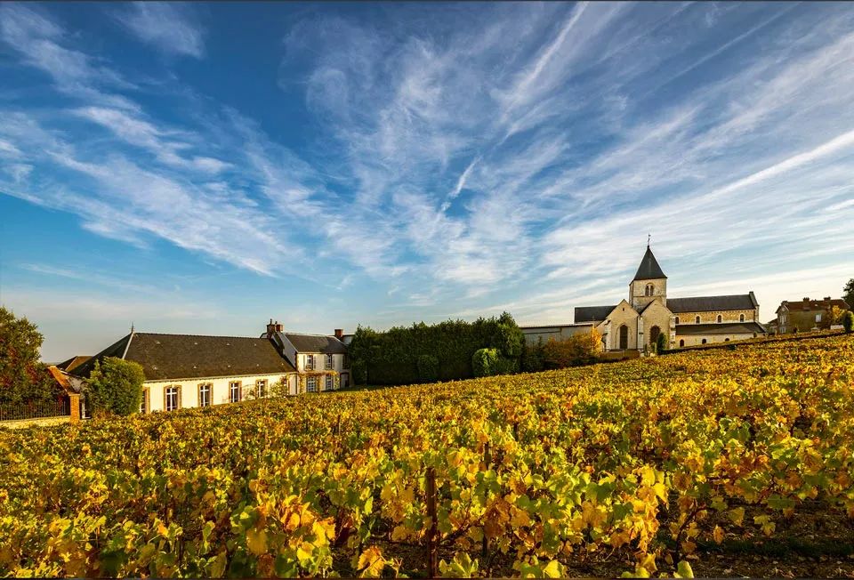 香槟葡萄园旅行,旅游香槟