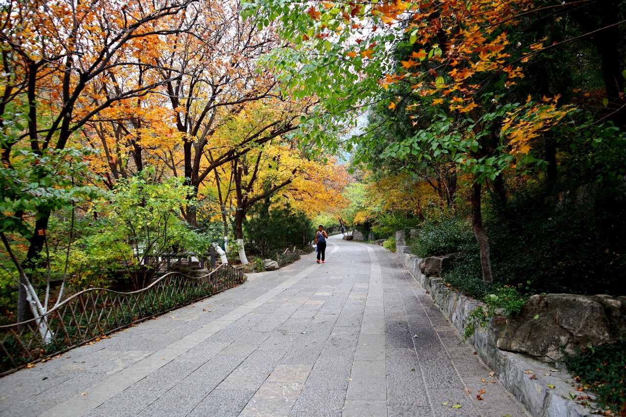 济南必打卡之地金秋时节,济南冬季打卡旅游胜地