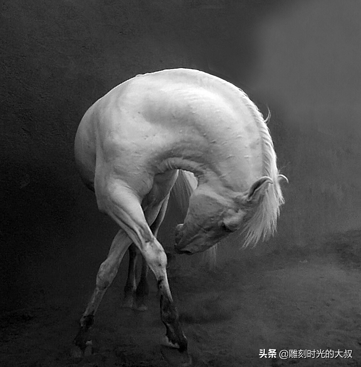 2022索尼世界摄影奖,2020年索尼世界摄影奖国家奖