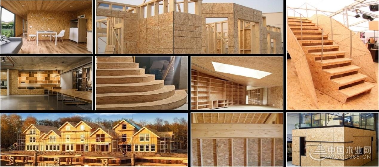 步履不停逐梦而行梦牌斩获“行业影响力十大品牌”荣誉