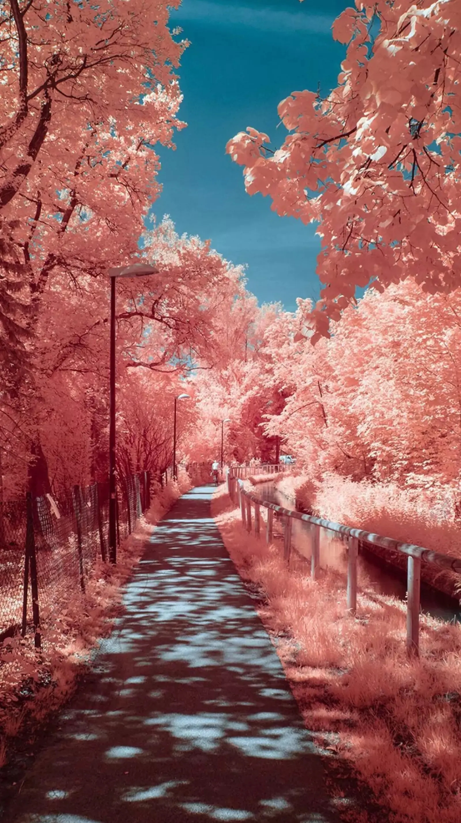 手机壁纸高清全屏美女,手机壁纸4k超清壁纸无水印