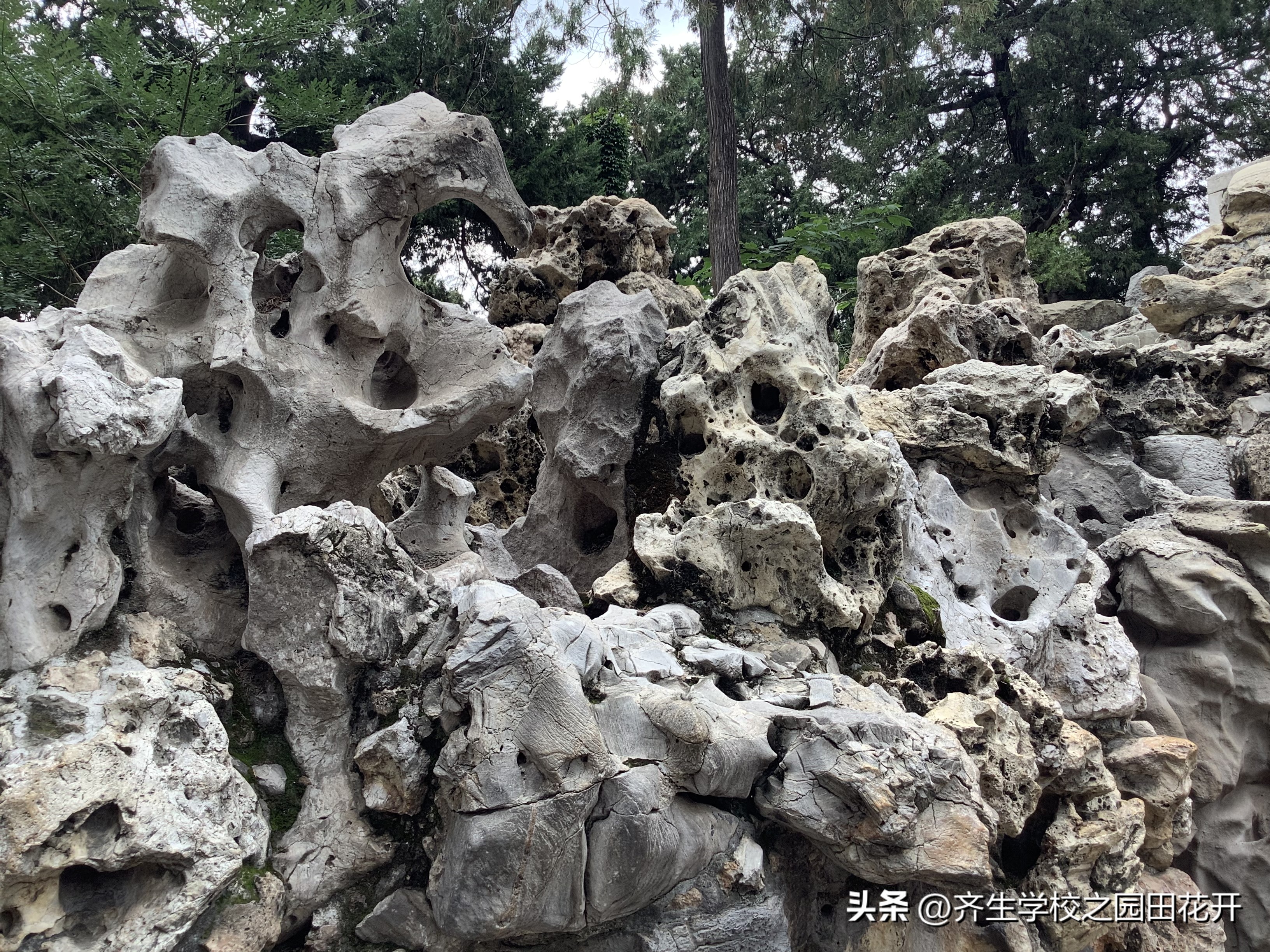 涨知识园林景观设计风格欣赏,园林景观设计的造景手法