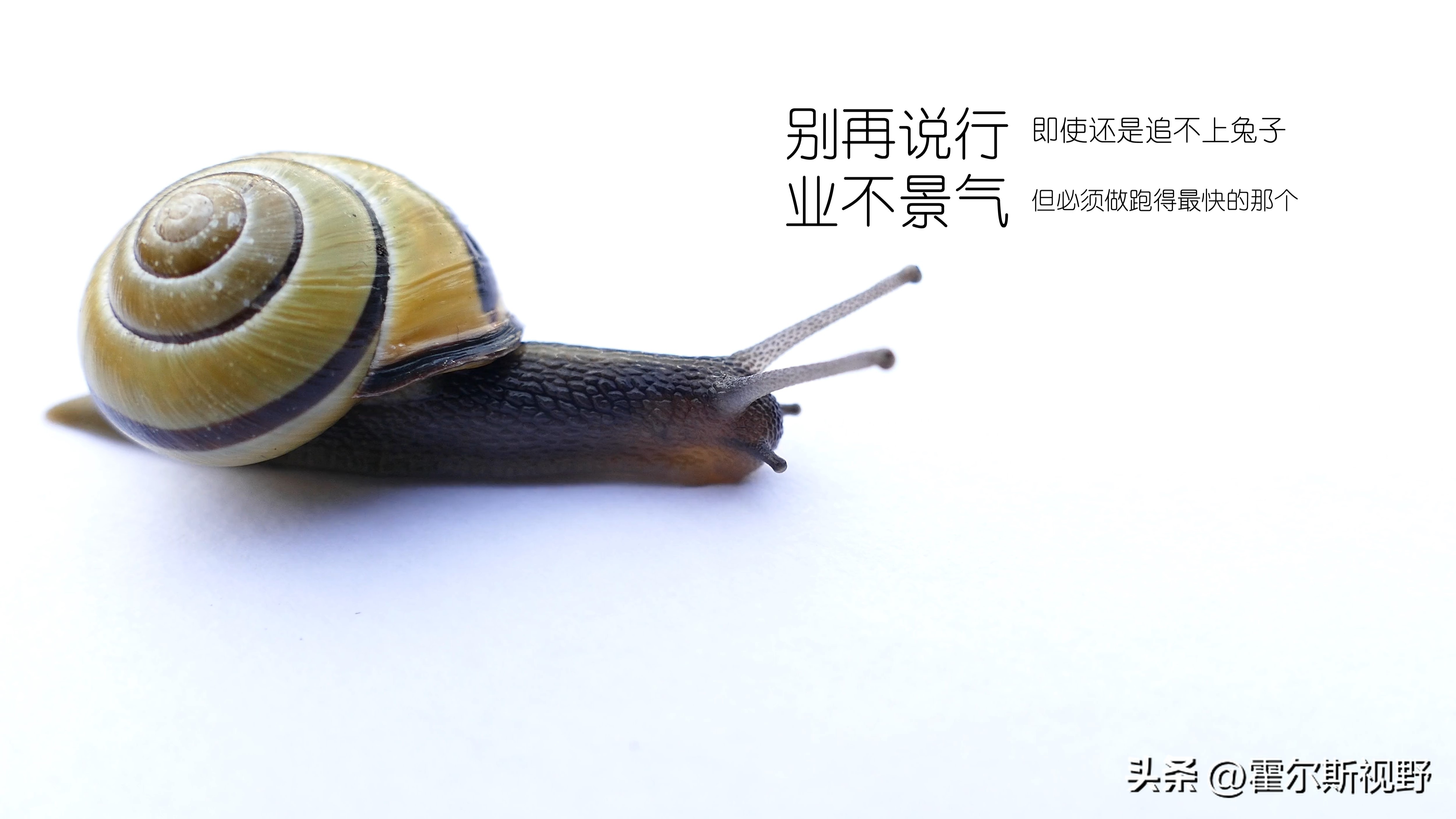 医院互联网营销方案,网上医院营销方案