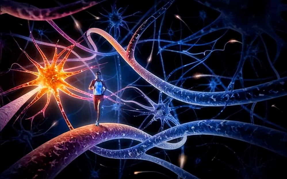 运动神经元,运动神经元并不可怕