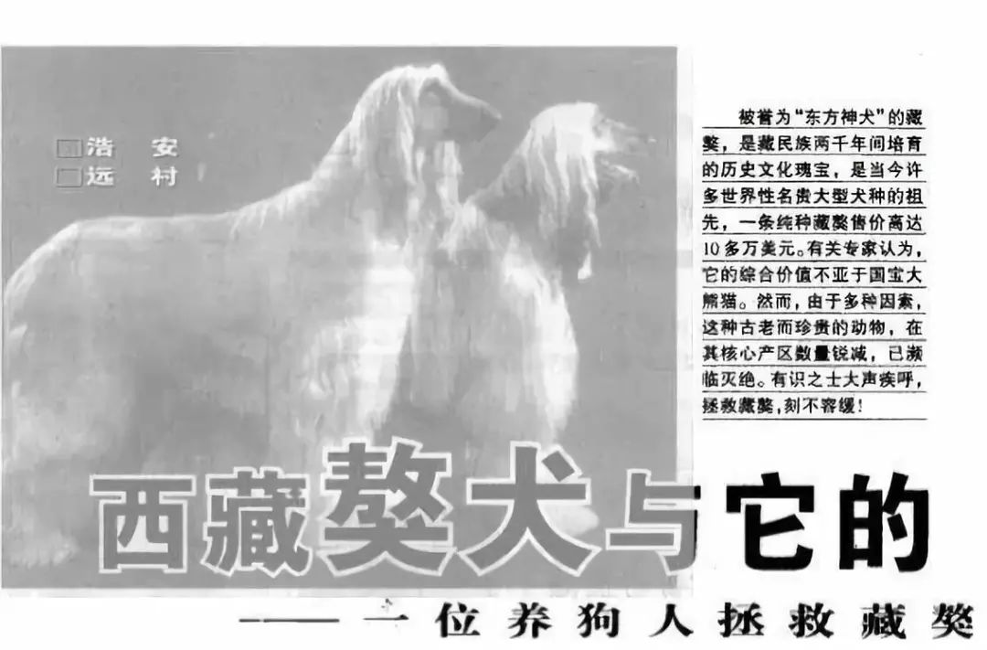 曾经4000万一只,如今白送也没人要!最大市场泡沫吹破了