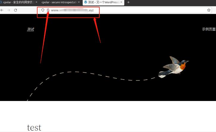 发布https网页?用cpolar轻松做到