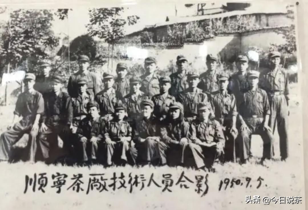 三分钟带你了解云南茶,茶叶小知识一分钟了解滇红茶