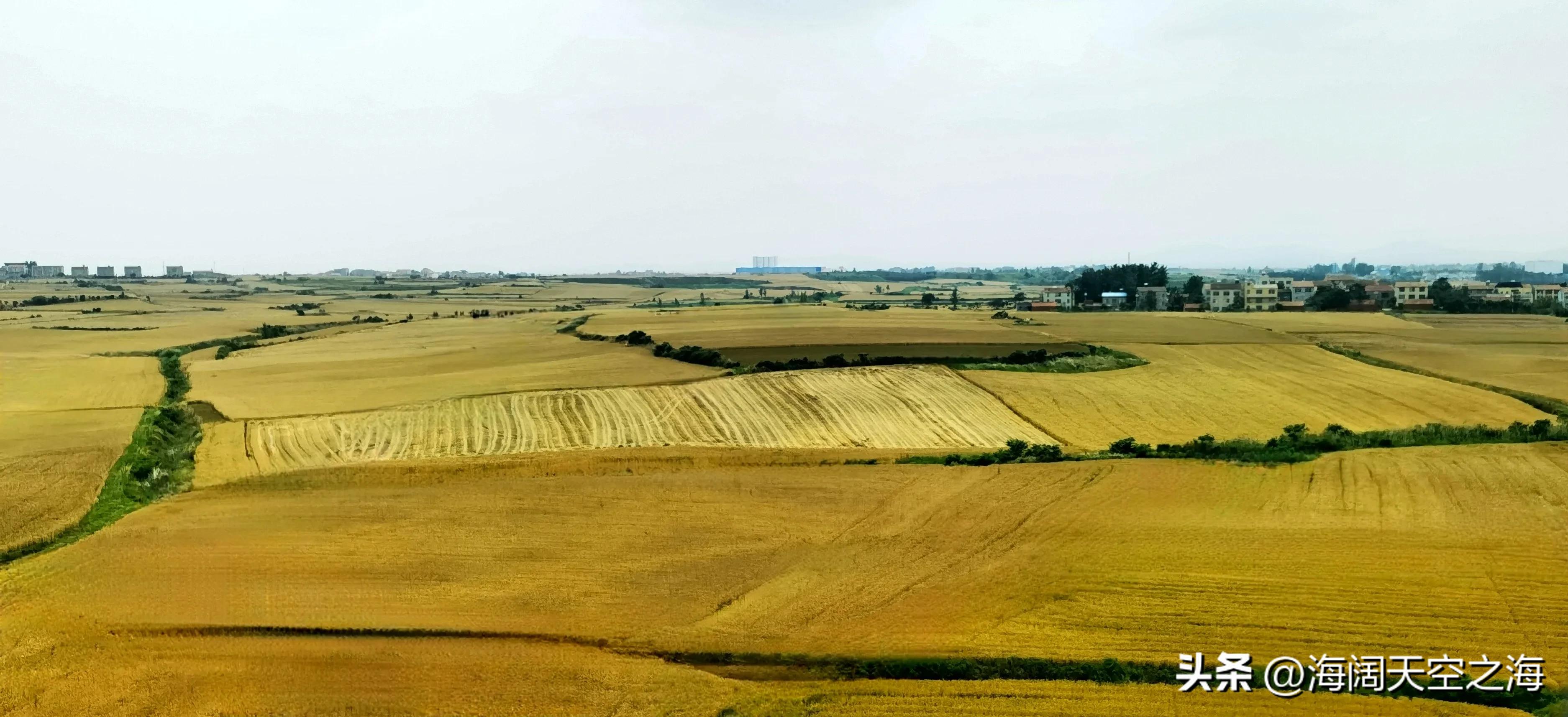 风吹麦浪完整版,风吹麦浪