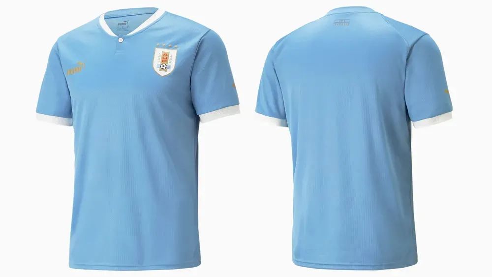 乌拉圭队全解析,乌拉圭队员落泪