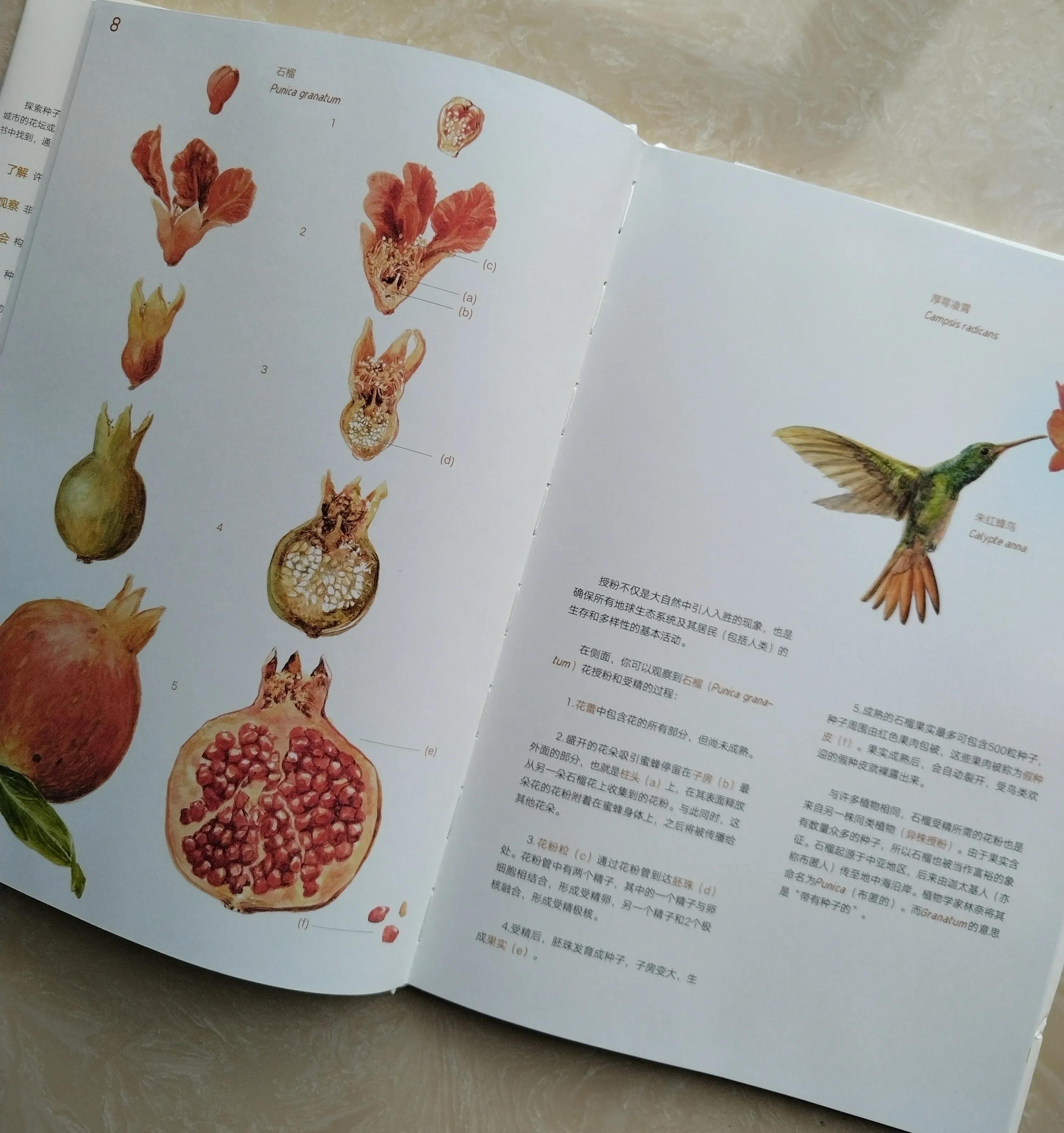 鎺㈢储鑷劧鐨勫ゥ绉樻劅鍙楃敓鍛界殑绁炲,鎴戜滑璧拌繘澶ц嚜鐒舵帰瀵荤敓鍛界殑婧愭硥