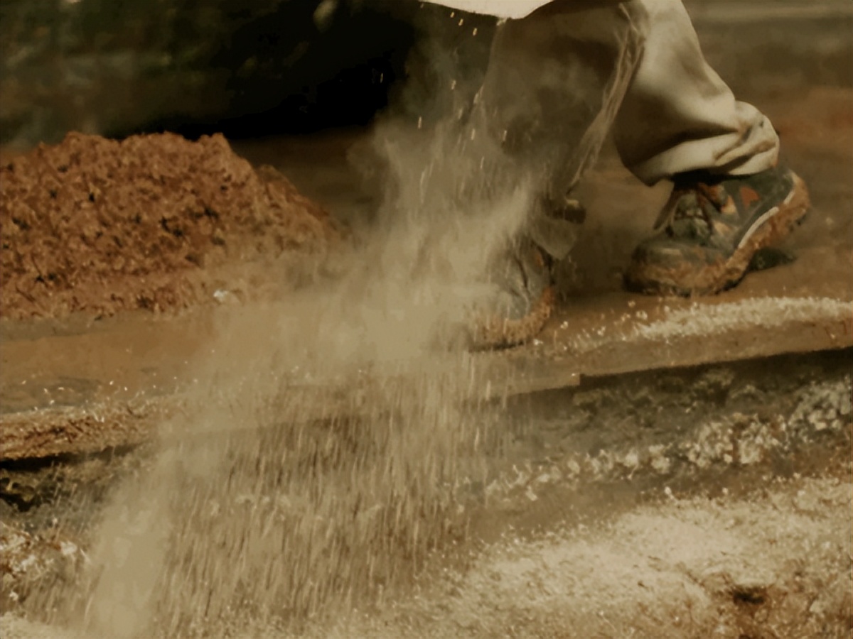 水井坊1号菌群,水井坊一号