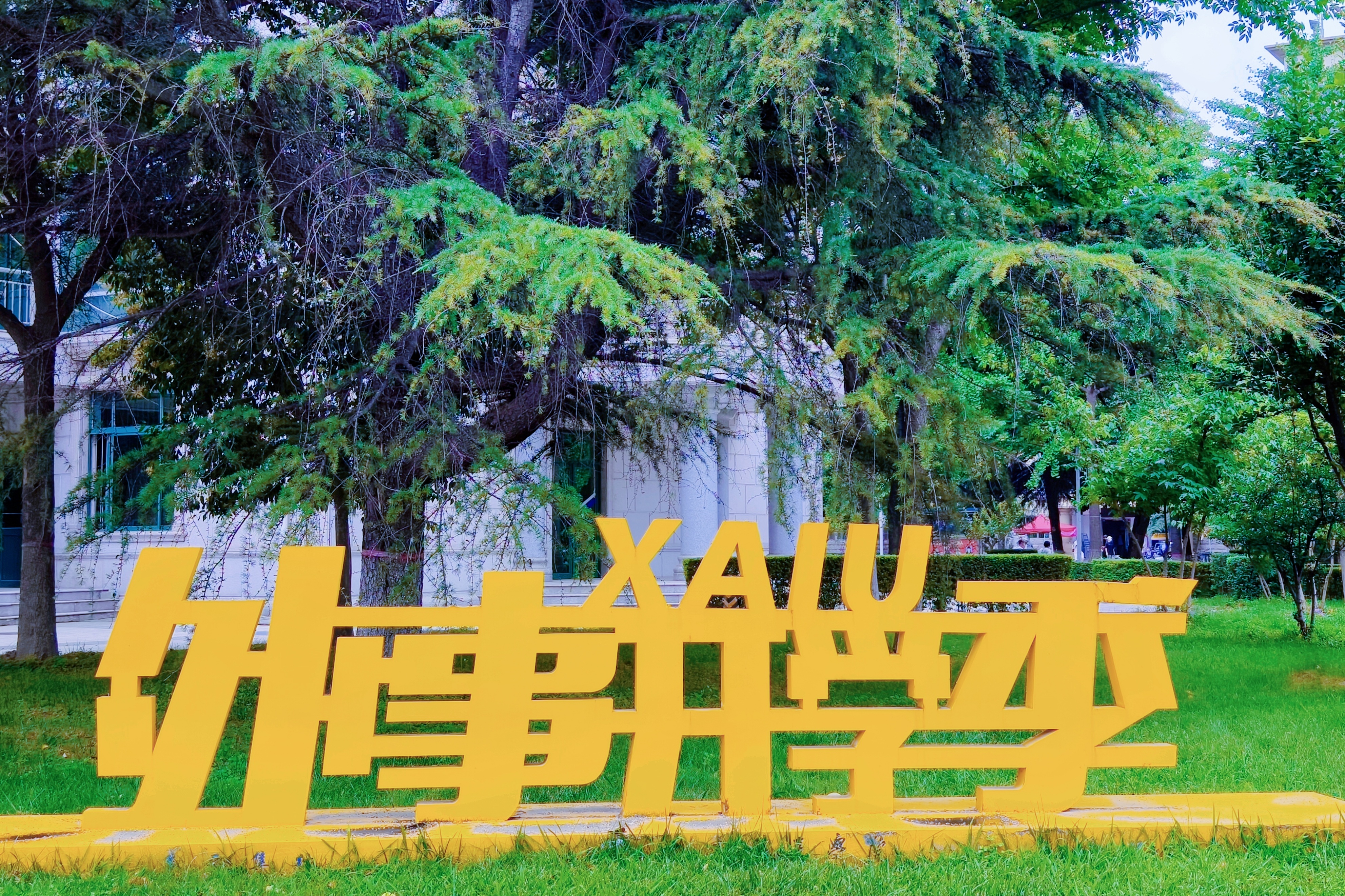 260分能上西安外事学院,高考分数515想学医