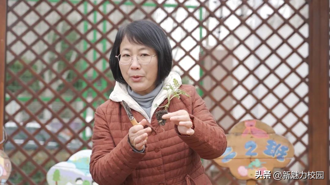 劳动创造幸福创意活动小学,劳动创造美好生活小学活动