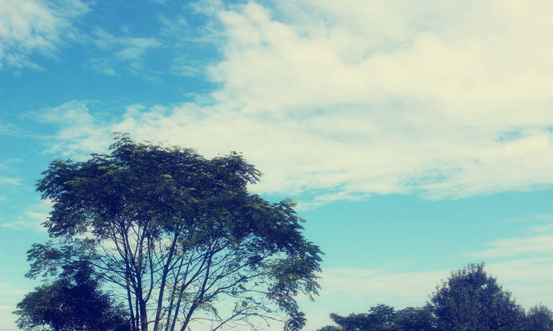 2021年女生就业率最高的十大专业,400分文科女生前景最好的十大专业