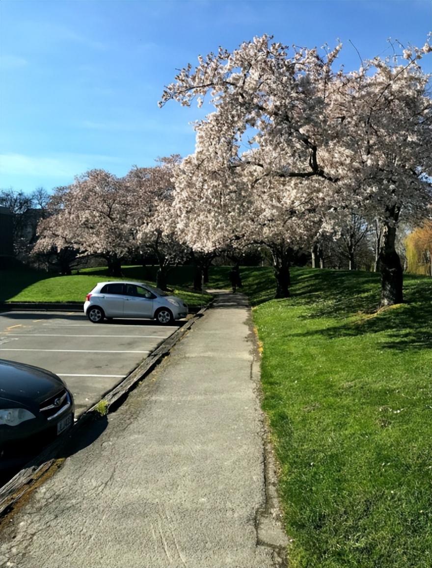 坎特伯雷大学——新西兰历史第二悠久的著名研究型大学