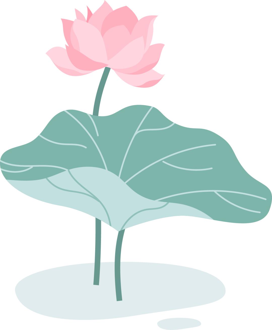 虚拟币投资诈骗套路有哪些案例,虚拟币诈骗被抓怎么办