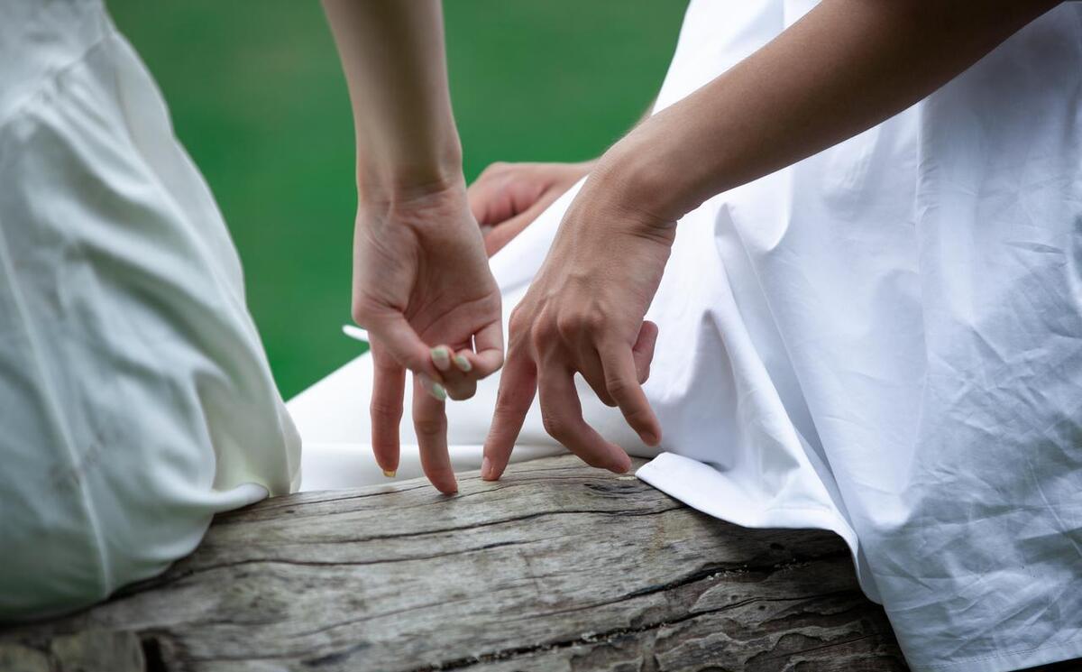 禁忌之恋：男子狂爱狗，法院终审判决揭晓！