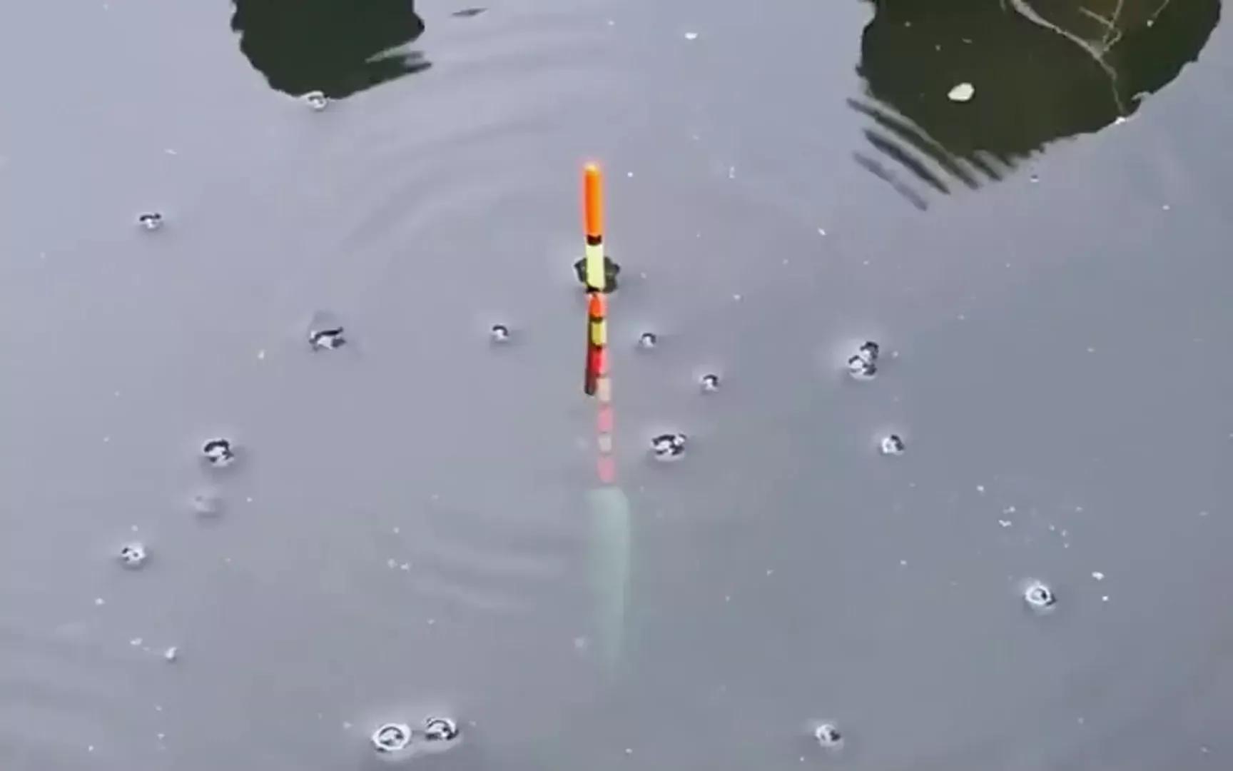 细短鱼竿推荐,鱼竿推荐细硬峰