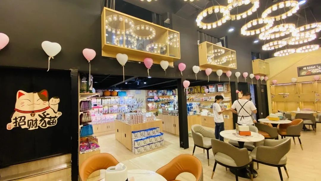 袖虎宠物店 (袖虎猫馆开店)