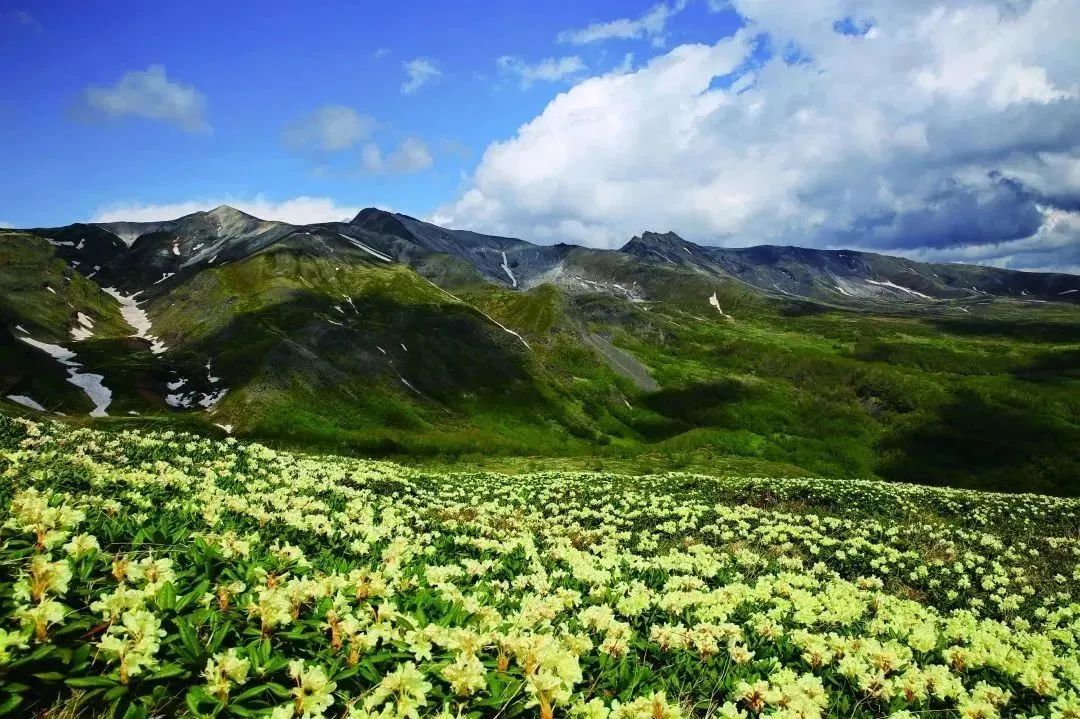 中国旅游日活动是什么,中国旅游日美好出行季