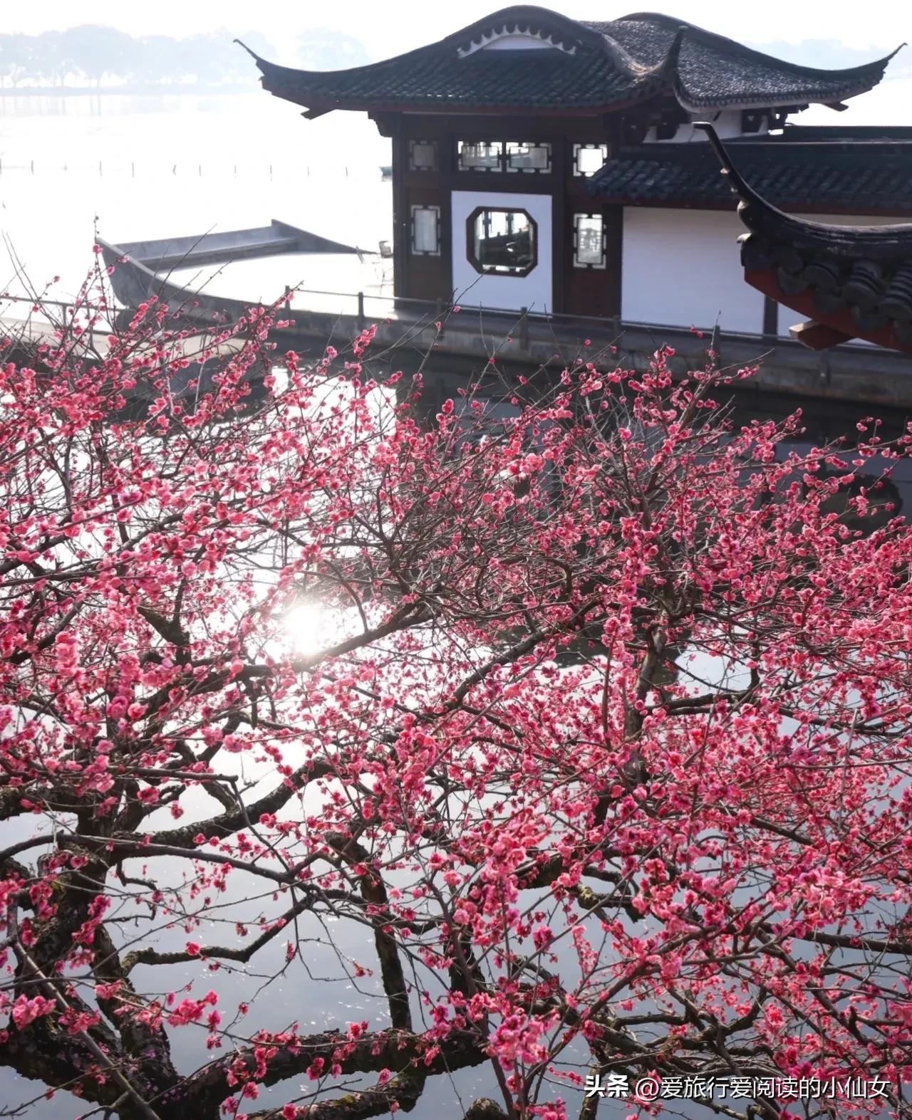 杭州旅游景点大全免费,杭州富阳免费景点大全