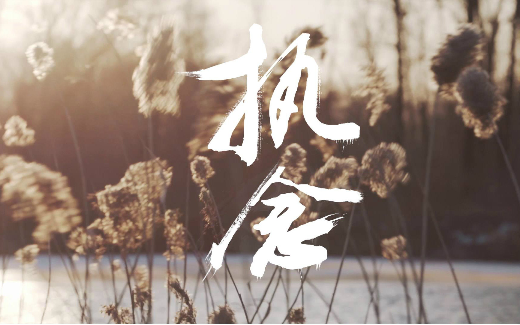 驱魔人电影原型事件,驱魔人原型纪录片