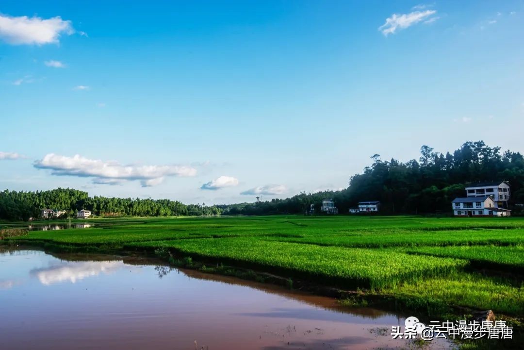 岳池旅游景点大全推荐,行走的美景