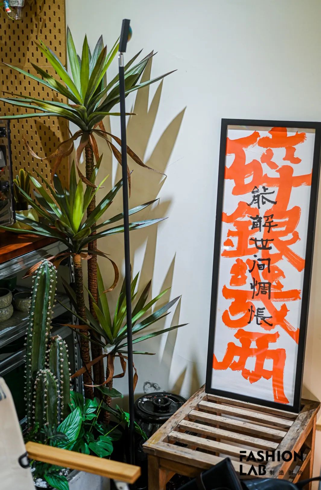 新手学钓鱼应该用什么鱼饵,想学钓鱼如何入门