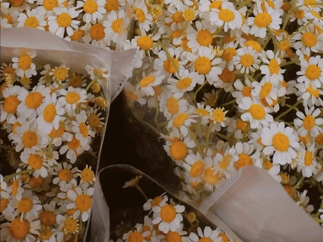 三行情书深度解析文案,纸短情长三行情书文案