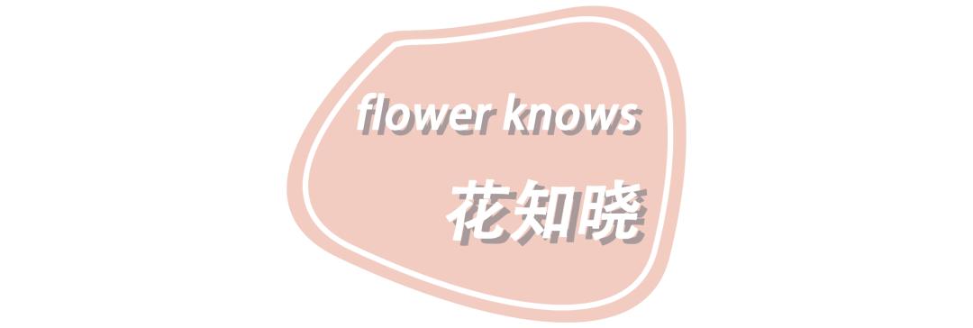 国货之光魅色奢润亮采口红红梨色,颜值超高超好用的口红