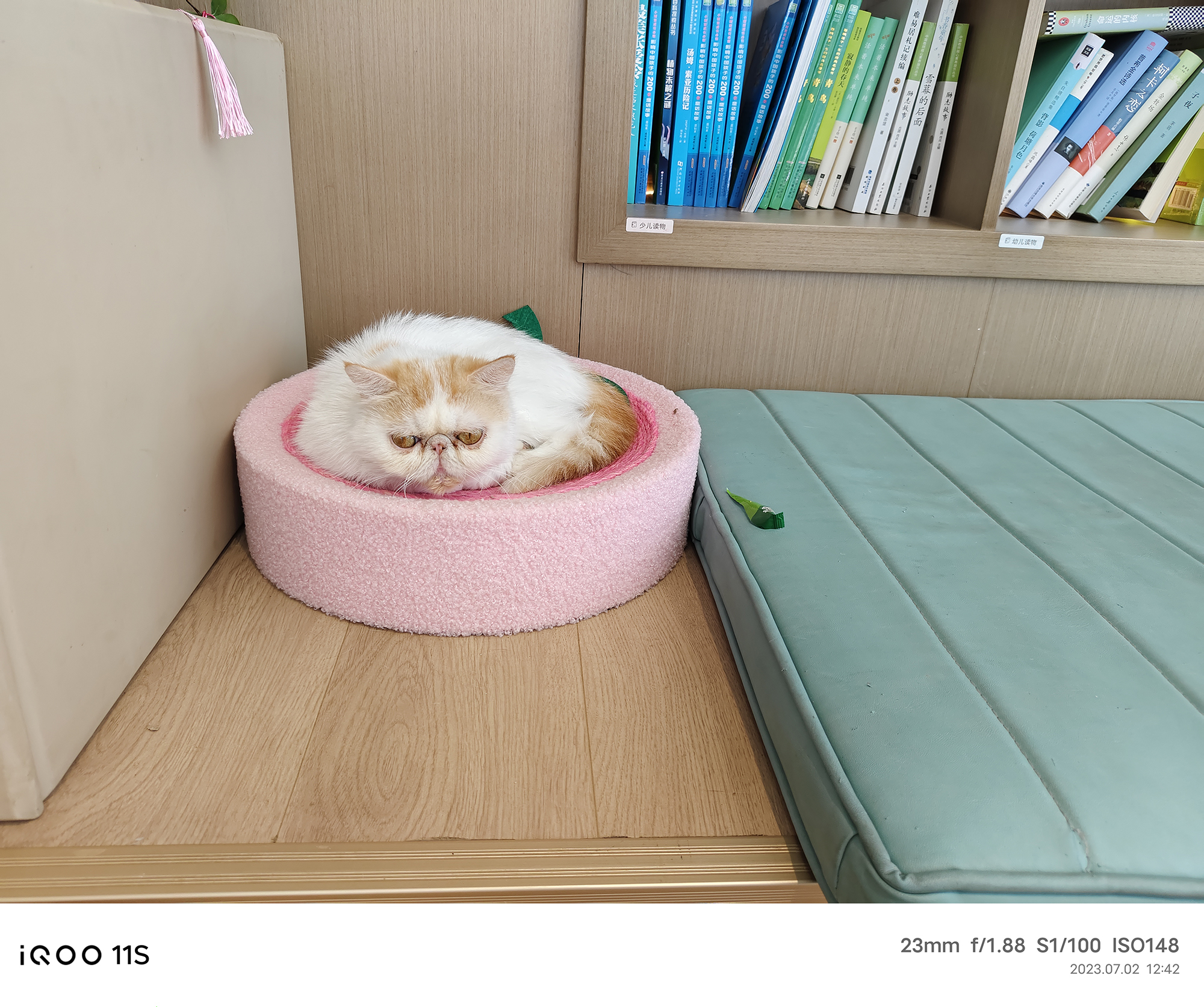 iQOO11S掀翻行业小饭桌，友谊小船真翻了：Super标准杯电竞旗舰